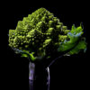 Choux romanesco© par Laurent Rodriguez