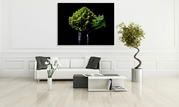 Choux romanesco© par Laurent Rodriguez