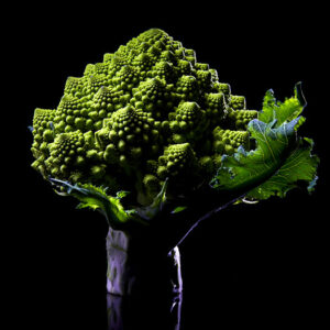 Choux romanesco© par Laurent Rodriguez