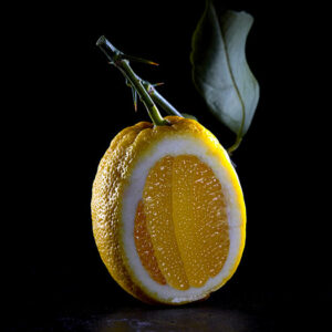Citron© par Laurent Rodriguez
