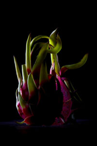 Pitahaya© par Laurent Rodriguez