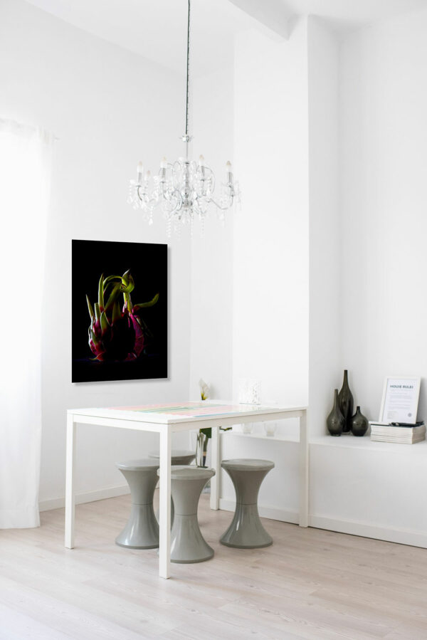 decor-pitahaya©-par-Laurent-Rodriguez