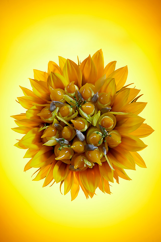 jaune-soleil©LaurentRodriguez